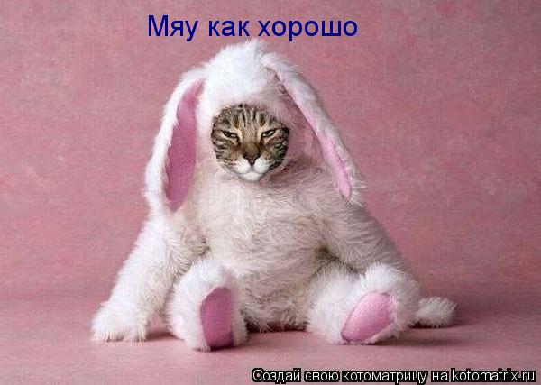 Мяу как хорошо... Котоматрица: Мяу как хорошо