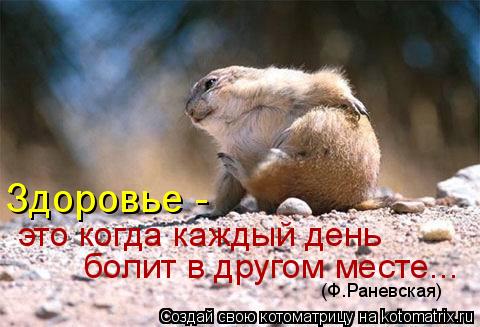 Здоровье - это когда каждый день болит в другом месте... (Ф.Раневская)... Котоматрица: Здоровье - это когда каждый день болит в другом месте... (Ф.Раневская)