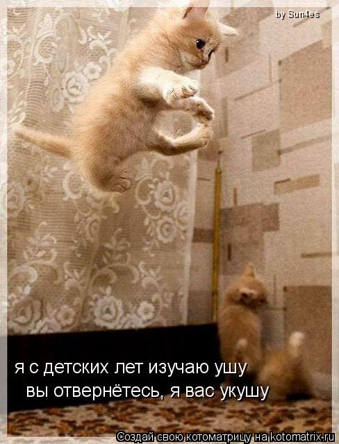 я с детских лет изучаю ушу вы отвернётесь, я вас укушу by Sun4es... Котоматрица: я с детских лет изучаю ушу вы отвернётесь, я вас укушу by Sun4es
