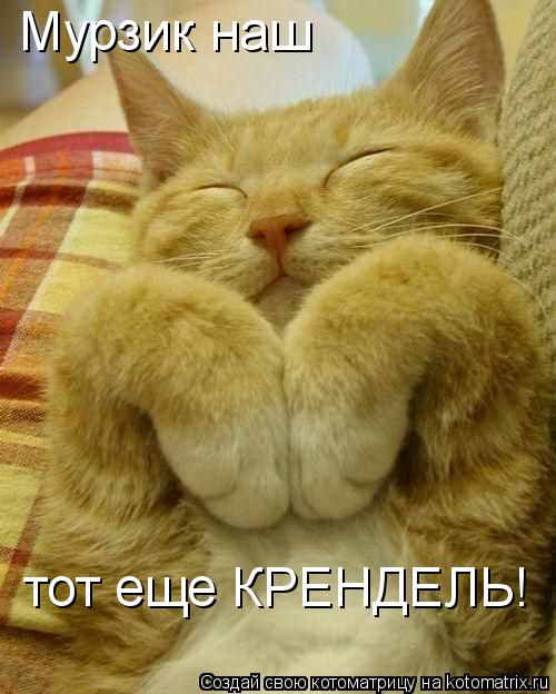 Мурзик наш тот еще КРЕНДЕЛЬ!... Котоматрица: Мурзик наш тот еще КРЕНДЕЛЬ!