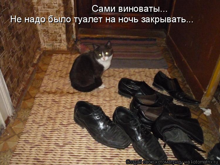 Сами виноваты... Не надо было туалет на ночь закрывать...... Котоматрица: Сами виноваты... Не надо было туалет на ночь закрывать...