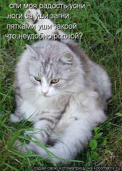 спи моя радость,усни, ноги за уши загни, пятками уши закрой. что,неудобно,родной?... Котоматрица: спи моя радость,усни, ноги за уши загни, пятками уши закрой. что,неудобно,родной?