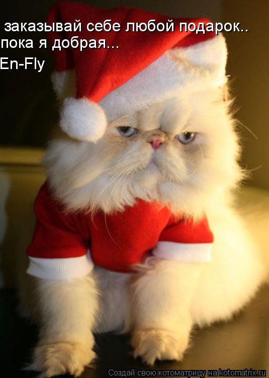 заказывай себе любой подарок.. пока я добрая... En-Fly... Котоматрица: заказывай себе любой подарок.. пока я добрая... En-Fly