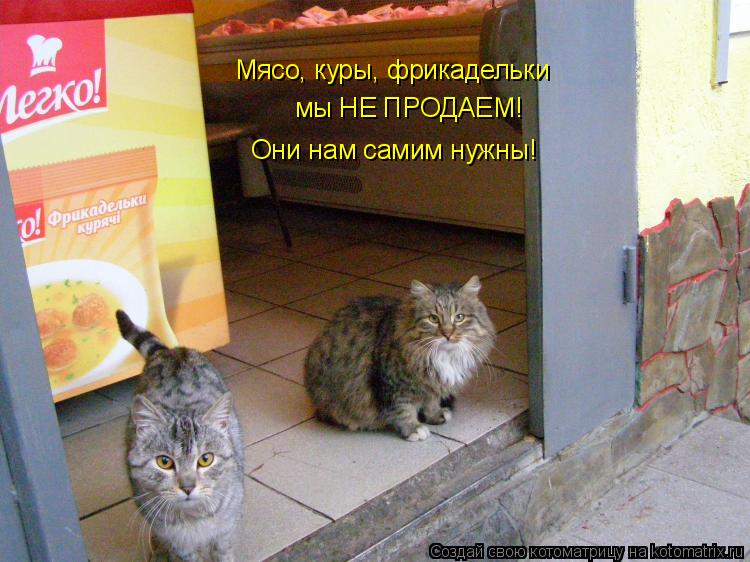 Мясо, куры, фрикадельки мы НЕ ПРОДАЕМ! Они нам самим нужны!... Котоматрица: Мясо, куры, фрикадельки мы НЕ ПРОДАЕМ! Они нам самим нужны!