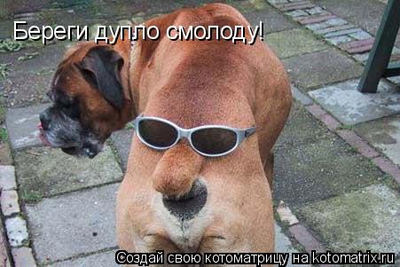 Береги дупло смолоду!... Котоматрица: Береги дупло смолоду!