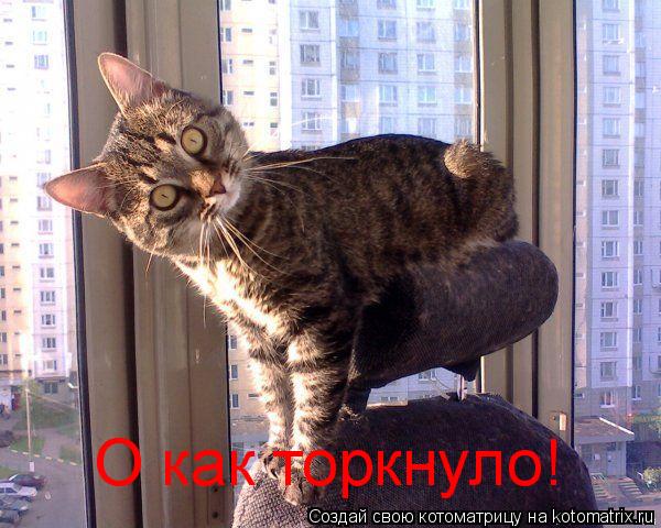 О как торкнуло!... Котоматрица: О как торкнуло!