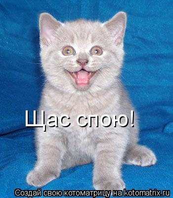 Щас спою!... Котоматрица: Щас спою!