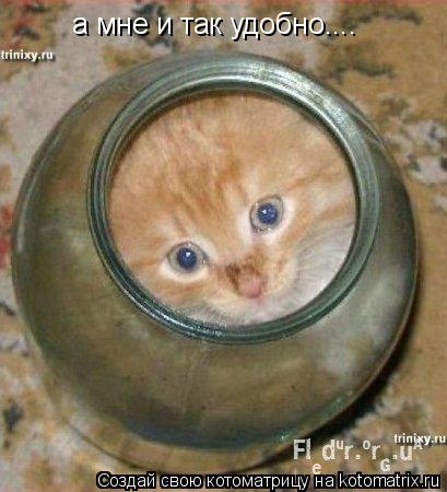 а мне и так удобно....... Котоматрица: а мне и так удобно....