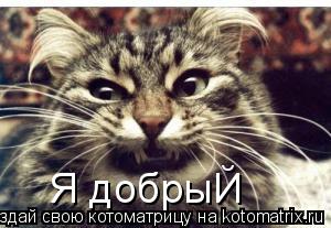 Я добрыЙ... Котоматрица: Я добрыЙ