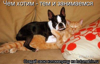 Чем хотим - тем и занимаемся... Котоматрица: Чем хотим - тем и занимаемся