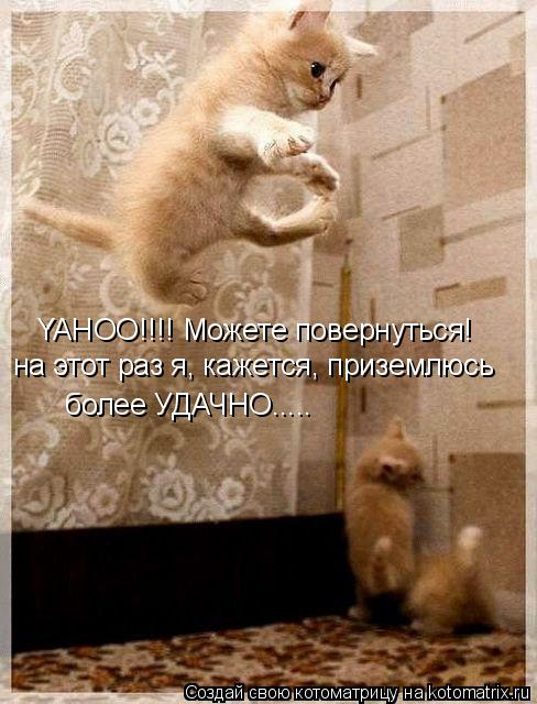 YAHOO!!!! Можете повернуться! на этот раз я, кажется, приземлюсь более УДАЧНО........ Котоматрица: YAHOO!!!! Можете повернуться! на этот раз я, кажется, приземлюсь более УДАЧНО.....