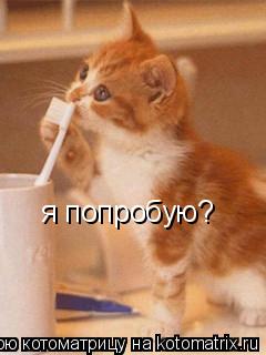 я попробую?... Котоматрица: я попробую?