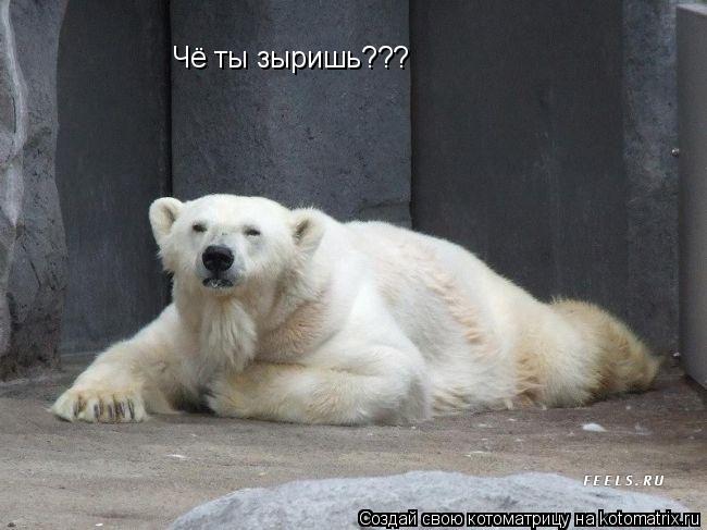 Чё ты зыришь???... Котоматрица: Чё ты зыришь???