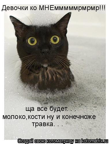 Девочки ко МНЕмммммрмрмр!!! ща все будет. . . молоко,кости ну и конечноже травка. . .... Котоматрица: Девочки ко МНЕмммммрмрмр!!! ща все будет. . . молоко,кости ну и конечноже травка. . .
