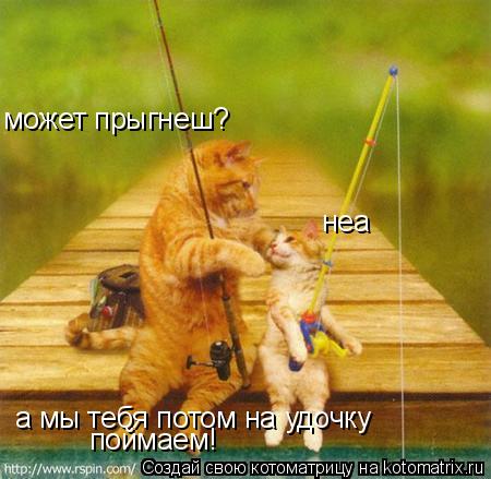 может прыгнеш? неа а мы тебя потом на удочку поймаем!... Котоматрица: может прыгнеш? неа а мы тебя потом на удочку поймаем!
