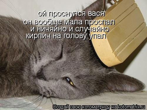 ой проснулся вася он вообще мала проспал и ничяйно и случайно кирпич на голову упал... Котоматрица: ой проснулся вася он вообще мала проспал и ничяйно и случайно кирпич на голову упал