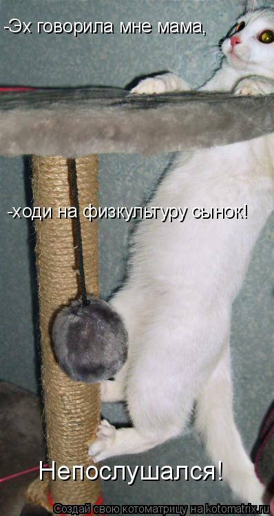 -Эх говорила мне мама, -ходи на физкультуру сынок! Непослушался!... Котоматрица: -Эх говорила мне мама, -ходи на физкультуру сынок! Непослушался!