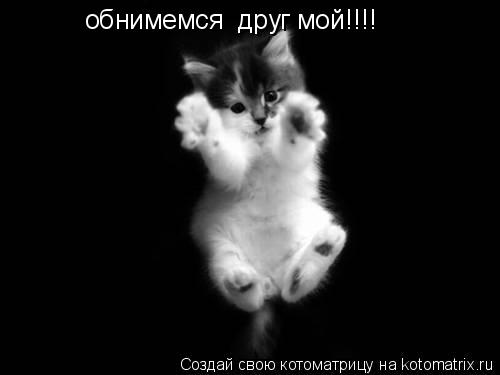 обнимемся друг мой!!!!... Котоматрица: обнимемся друг мой!!!!