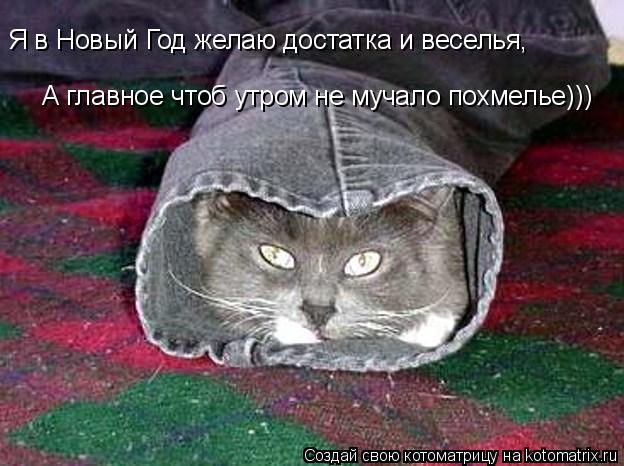 Я в Новый Год желаю достатка и веселья, А главное чтоб утром не мучало похмелье)))... Котоматрица: Я в Новый Год желаю достатка и веселья, А главное чтоб утром не мучало похмелье)))