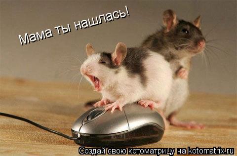 Мама ты нашлась!... Котоматрица: Мама ты нашлась!