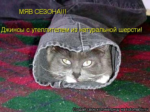 МЯВ СЕЗОНА!!! Джинсы с утеплителем из натуральной шерсти!... Котоматрица: МЯВ СЕЗОНА!!! Джинсы с утеплителем из натуральной шерсти!