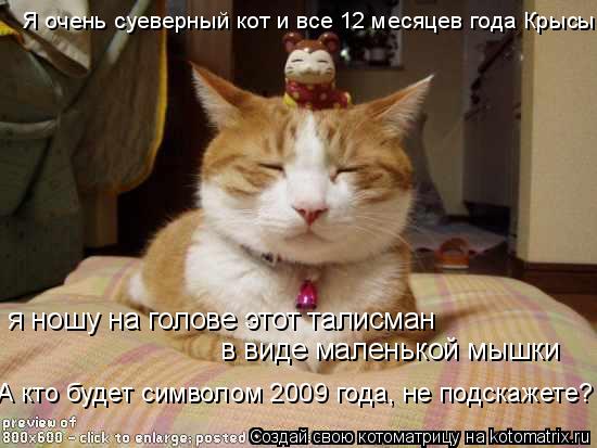 я ношу на голове этот талисман в виде маленькой мышки А кто будет символом 2009 года, не подскажете?... Котоматрица: я ношу на голове этот талисман в виде маленькой мышки А кто будет символом 2009 года, не подскажете? Я очень суеверный кот и все 12 месяцев года