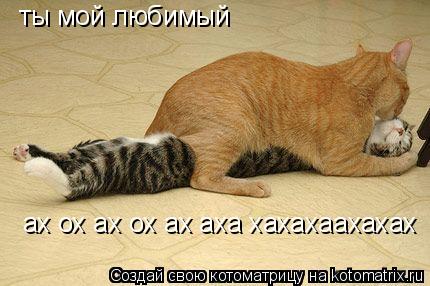ты мой любимый ах ох ах ох ах аха хахахаахахах... Котоматрица: ты мой любимый ах ох ах ох ах аха хахахаахахах