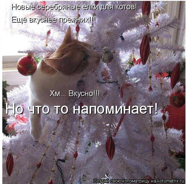 Новые серебряные елки для котов! Ещё вкуснее прежних!!! Хм... Вкусно!!! Но что то напоминает!... Котоматрица: Новые серебряные елки для котов! Ещё вкуснее прежних!!! Хм... Вкусно!!! Но что то напоминает!