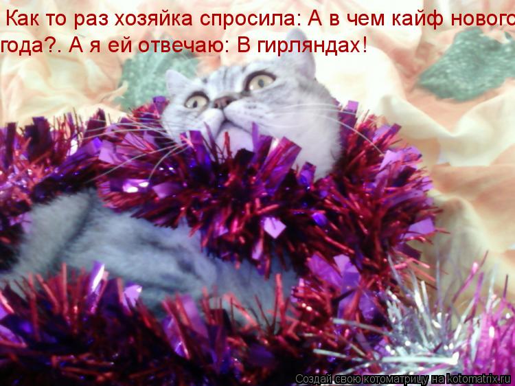 Как то раз хозяйка спросила: А в чем кайф нового года?. А я ей отвечаю: В гирляндах! года?. А я ей от... Котоматрица: Как то раз хозяйка спросила: А в чем кайф нового года?. А я ей отвечаю: В гирляндах! года?. А я ей отвечаю: В гирляндах!