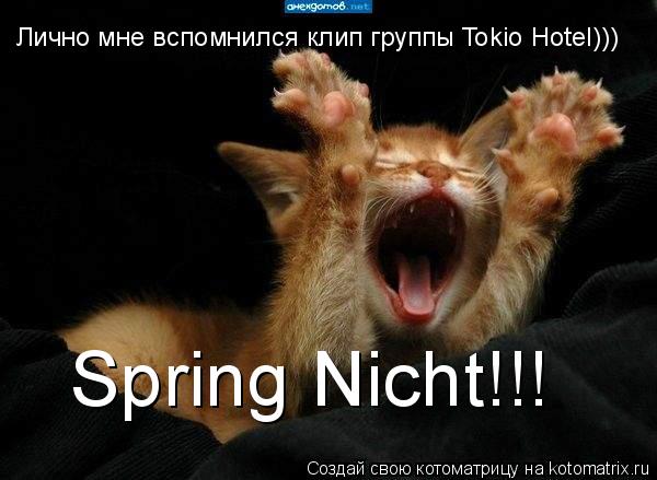 Лично мне вспомнился клип группы Tokio Hotel))) Spring Nicht!!!... Котоматрица: Лично мне вспомнился клип группы Tokio Hotel))) Spring Nicht!!!