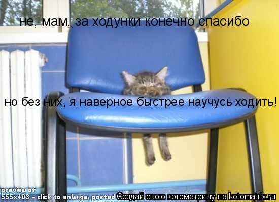 не, мам, за ходунки конечно спасибо но без них, я наверное быстрее научусь ходить!... Котоматрица: не, мам, за ходунки конечно спасибо но без них, я наверное быстрее научусь ходить!