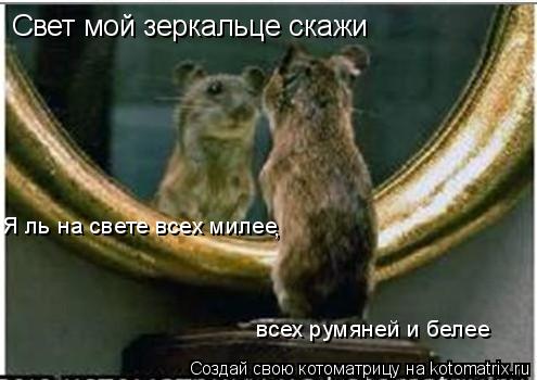 Свет мой зеркальце скажи Я ль на свете всех милее , всех румяней и белее... Котоматрица: Свет мой зеркальце скажи Я ль на свете всех милее , всех румяней и белее