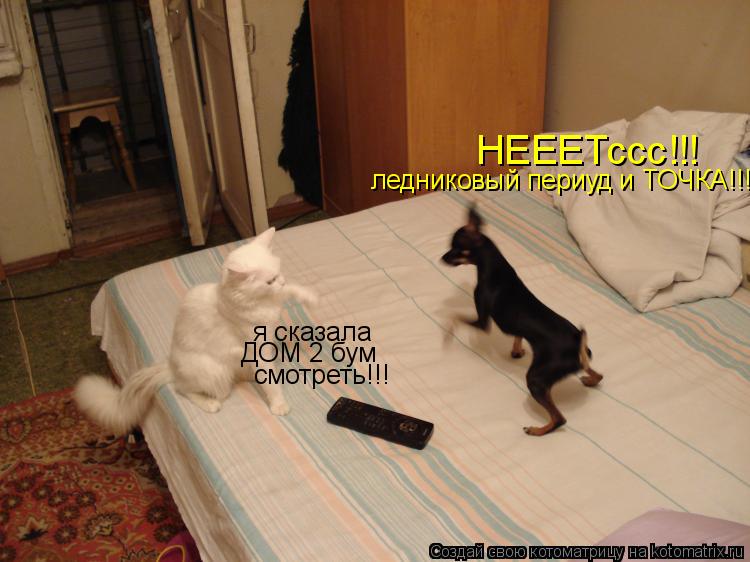 я сказала ДОМ 2 бум смотреть!!! НЕЕЕТссс!!! ледниковый периуд и ТОЧКА!!!... Котоматрица: я сказала ДОМ 2 бум смотреть!!! НЕЕЕТссс!!! ледниковый периуд и ТОЧКА!!!