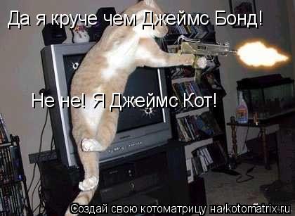 Да я круче чем Джеймс Бонд! Не не! Я Джеймс Кот!... Котоматрица: Да я круче чем Джеймс Бонд! Не не! Я Джеймс Кот!
