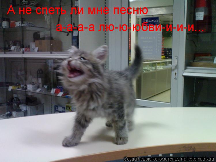 А не спеть ли мне песню а-а-а-а лю-ю-юбви-и-и-и...... Котоматрица: А не спеть ли мне песню а-а-а-а лю-ю-юбви-и-и-и...