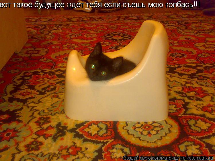 вот такое будущее ждёт тебя если съешь мою колбась!!!... Котоматрица: вот такое будущее ждёт тебя если съешь мою колбась!!!