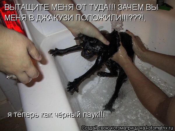 ВЫТАЩИТЕ МЕНЯ ОТ ТУДА!!! ЗАЧЕМ ВЫ МЕНЯ В ДЖАКУЗИ ПОЛОЖИЛИ!!!???!, я теперь как чёрный паук!!!... Котоматрица: ВЫТАЩИТЕ МЕНЯ ОТ ТУДА!!! ЗАЧЕМ ВЫ МЕНЯ В ДЖАКУЗИ ПОЛОЖИЛИ!!!???!, я теперь как чёрный паук!!!