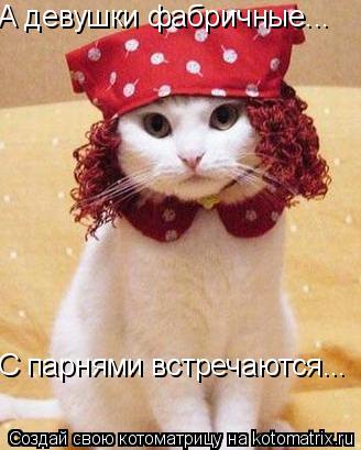 А девушки фабричные... С парнями встречаются...... Котоматрица: А девушки фабричные... С парнями встречаются...