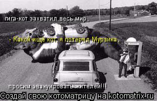 гига-кот захватил весь мир, просим эвакуировать жителей!!! - Какой ищё кот, я потерял Мурзика,... Котоматрица: гига-кот захватил весь мир, просим эвакуировать жителей!!! - Какой ищё кот, я потерял Мурзика,