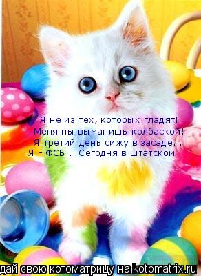 Я не из тех, которых гладят! Меня ны выманишь колбаской! Я третий день сижу в засаде... Я - ФСБ... С... Котоматрица: Я не из тех, которых гладят! Меня ны выманишь колбаской! Я третий день сижу в засаде... Я - ФСБ... Сегодня в штатском