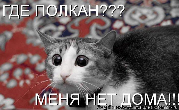 ГДЕ ПОЛКАН??? МЕНЯ НЕТ ДОМА!!!... Котоматрица: ГДЕ ПОЛКАН??? МЕНЯ НЕТ ДОМА!!!