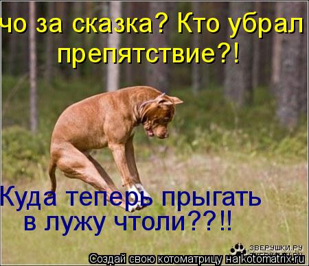 чо за сказка? Кто убрал препятствие?! Куда теперь прыгать в лужу чтоли??!!... Котоматрица: чо за сказка? Кто убрал препятствие?! Куда теперь прыгать в лужу чтоли??!!