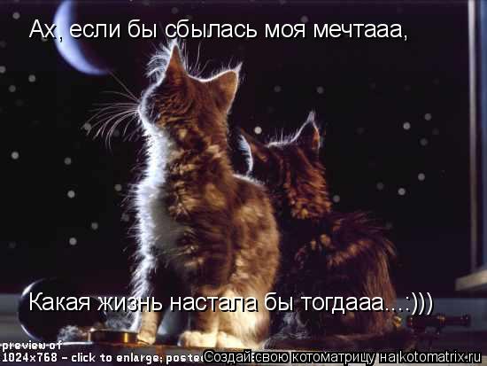 Ах, если бы сбылась моя мечтааа, Какая жизнь настала бы тогдааа...:)))... Котоматрица: Ах, если бы сбылась моя мечтааа, Какая жизнь настала бы тогдааа...:)))