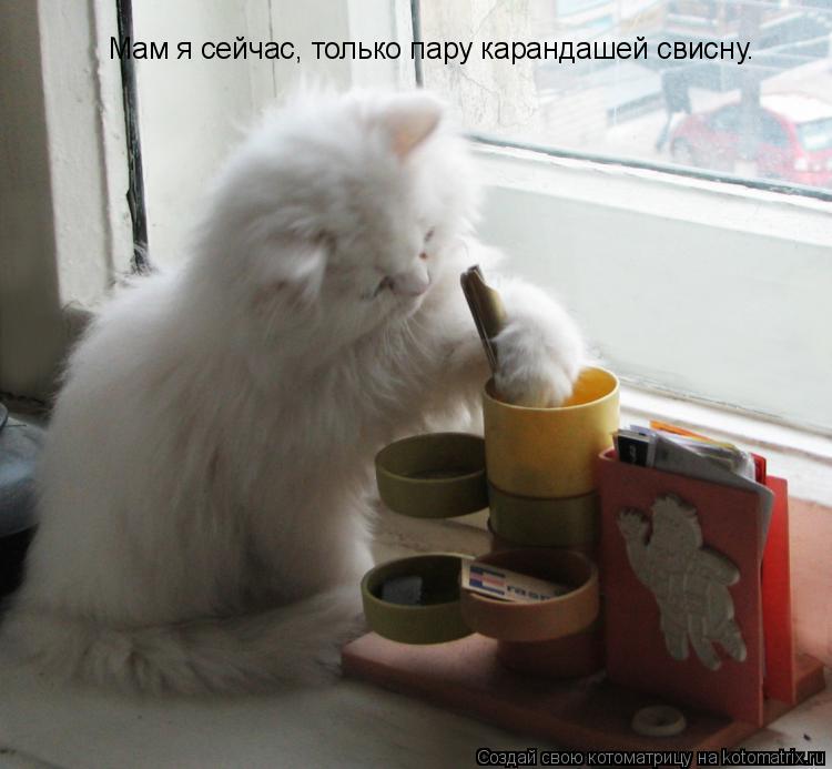 Мам я сейчас, только пару карандашей свисну.... Котоматрица: Мам я сейчас, только пару карандашей свисну.