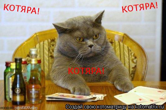 КОТЯРА! КОТЯРА! КОТЯРА!... Котоматрица: КОТЯРА! КОТЯРА! КОТЯРА!