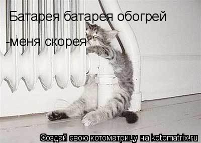 Батарея батарея обогрей -меня скорея... Котоматрица: Батарея батарея обогрей -меня скорея
