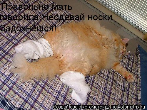 Правельно мать говорила:не одевай носки Ромы!Задохнёшся! Правельно мать говорила:Неодевай носки Задо... Котоматрица: Правельно мать говорила:не одевай носки Ромы!Задохнёшся! Правельно мать говорила:Неодевай носки Задохнёшся!