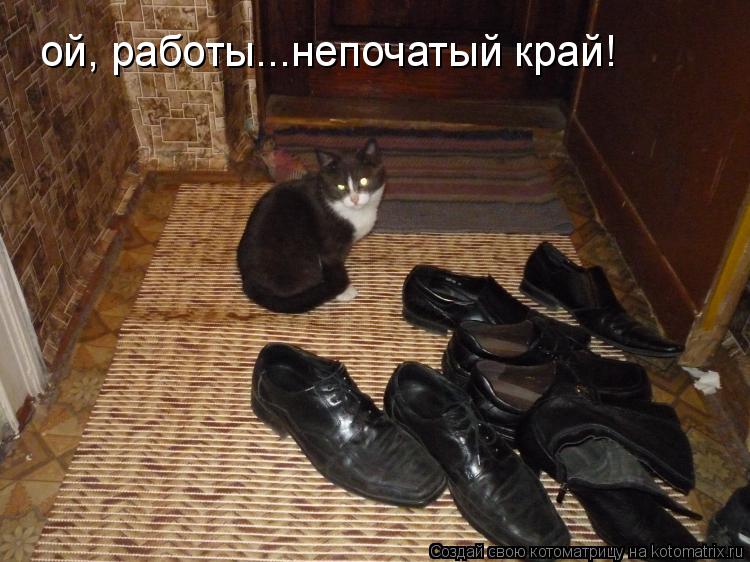 ой, работы...непочатый край!... Котоматрица: ой, работы...непочатый край!