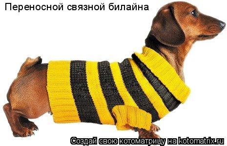 Переносной связной билайна... Котоматрица: Переносной связной билайна