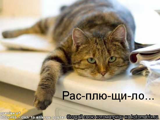 Рас-плю-щи-ло...... Котоматрица: Рас-плю-щи-ло...